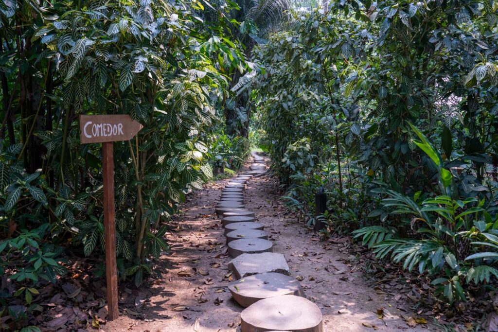 RECICLED-TREES-FOR-TRAILS