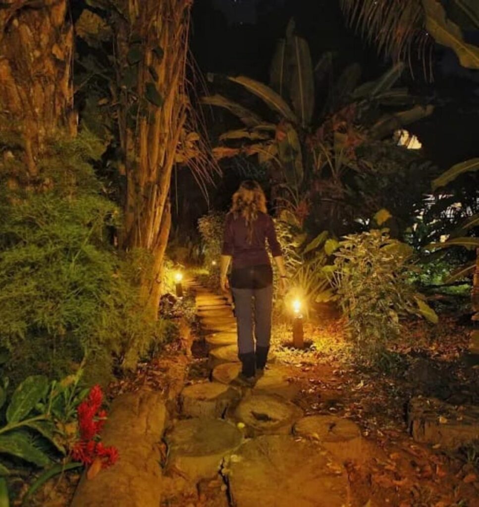 camino-noche-ecolucerna