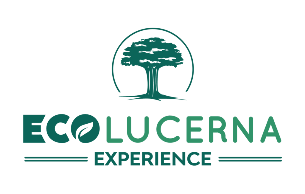 Ecolucerna Experience