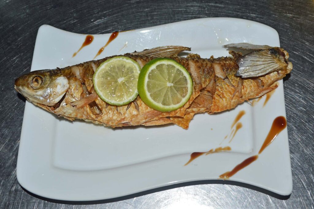 Pescado-vs2-ecolucernalodge