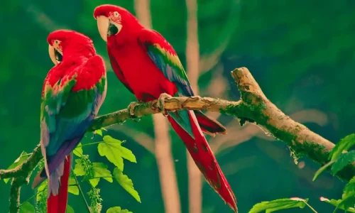 BANNER-PRINCIPAL-2800x11204-1_2_11zon_43_11zon