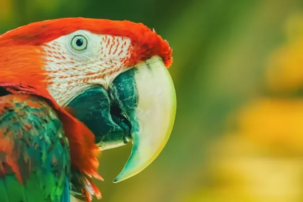 Diseno-sin-titulo11_11zon