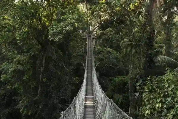 WhatsApp Image 2025-07-01 at 12.44.50_11zon_11zon